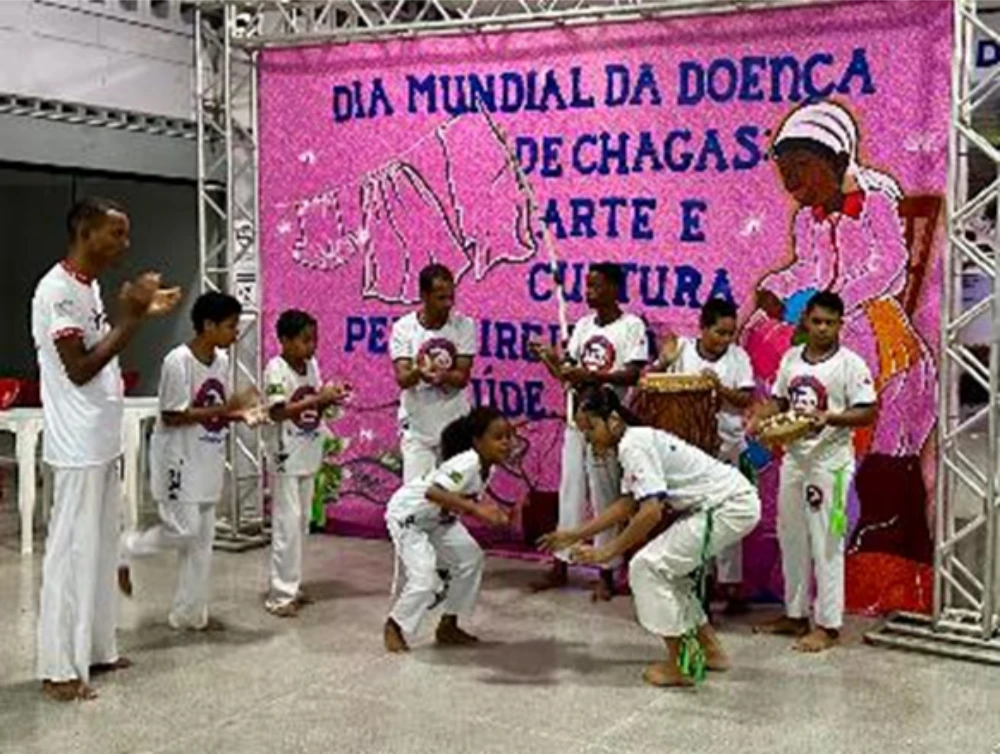 galeria-territorio-brasil-11