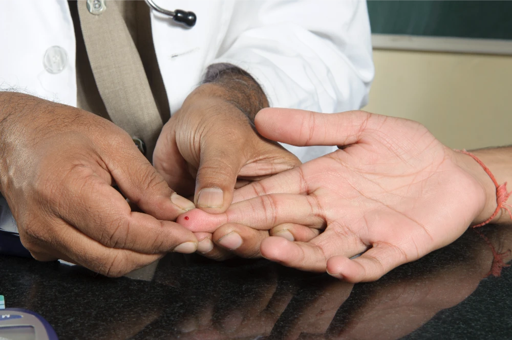 galeria-territorio-brasil-17